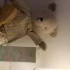 شامبو الأطفال الطبيعي