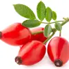 زيت ثمرة الورد