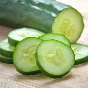 خلاصة الخيار