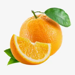 البرتقال