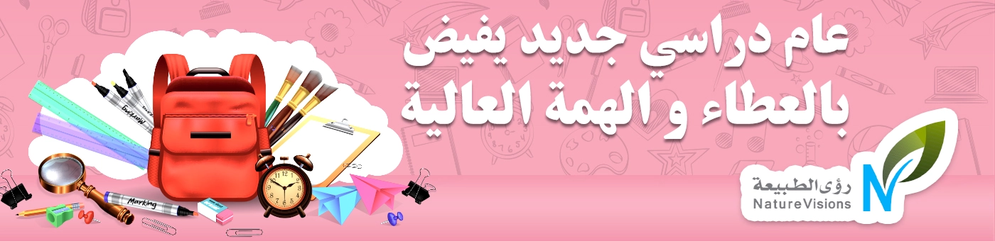 العودة للمدارس